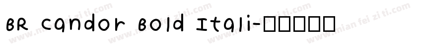 BR Candor Bold Itali字体转换